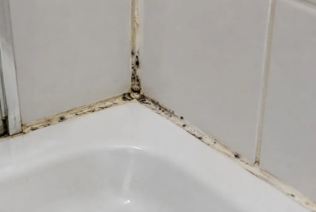Kitbedrijf Oldebroek – beschimmelde kitranden